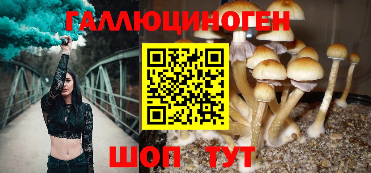 Псилоцибиновые грибы MAGIC MUSHROOMS Назрань