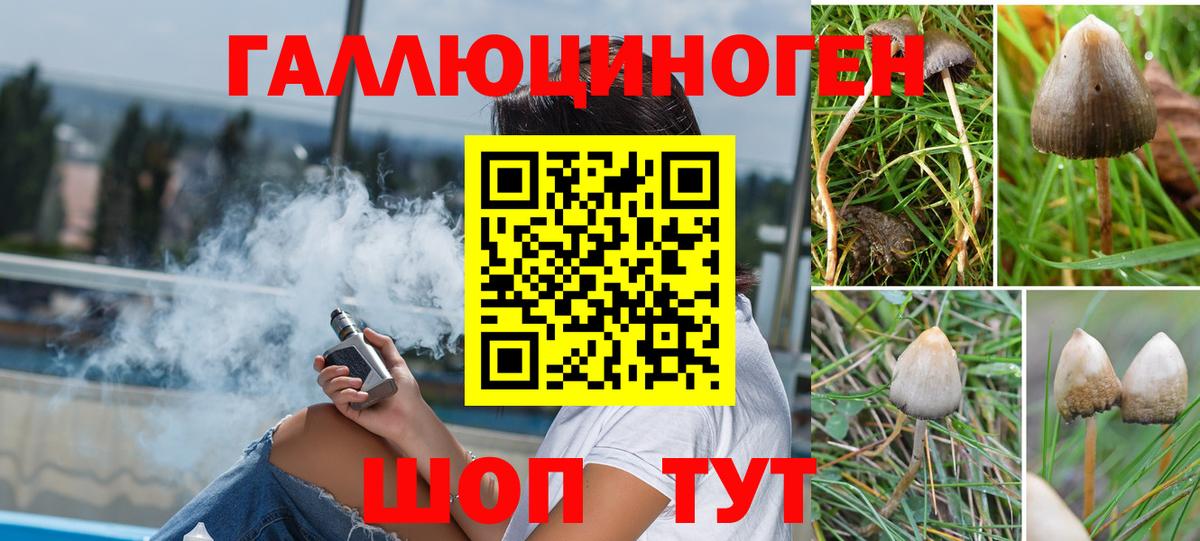 Назрань  Псилоцибиновые грибы Magic Shrooms  Вход с VPN  Псилоцибиновые грибы мухоморы 